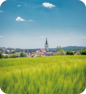 Panoramabild