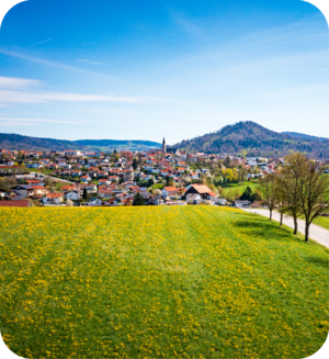 Panoramabild